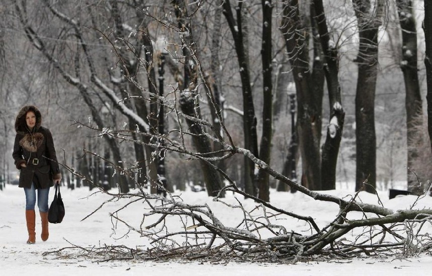 A woman walks near a frozen tree broken after a heavy snowfall, in Moscow, Dec 26, 2010. [China Daily/Agencies]