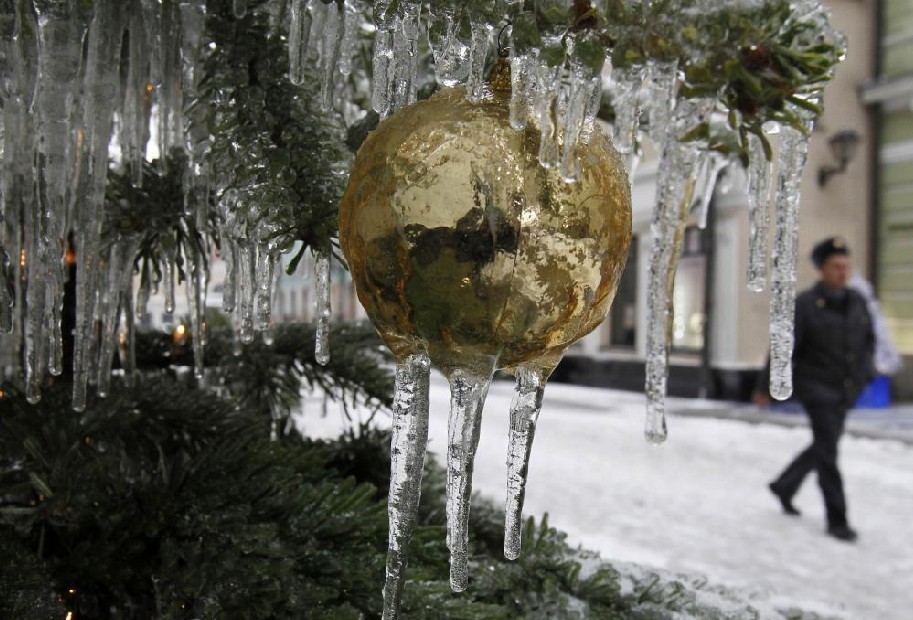 Branches of a tree are covered with ice, as a plane is seen in the background, at Moscow&apos;s Domodedovo airport, Dec 26, 2010. [China Daily/Agencies]