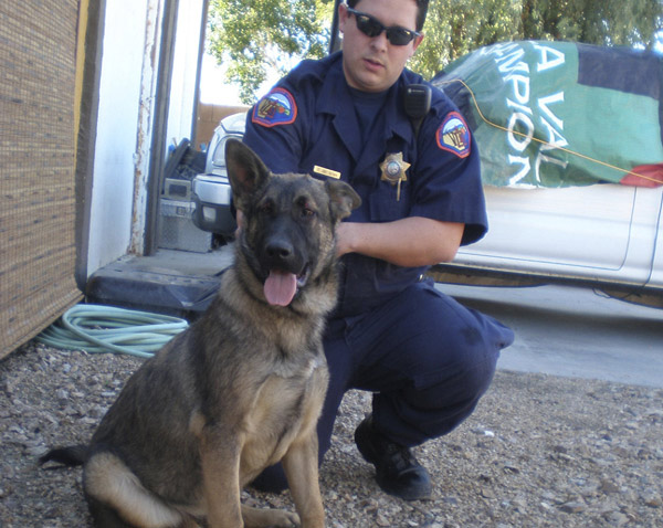 An 8-month-old German Shepherd is seen after being rescued from having its head stuck in a hole in an 18-inch block wall in Desert Hot Springs, California Dec 27, 2010 in this photograph released by the Riverside County Animal Services Dec 27, 2010. [China Daily/Agencies]