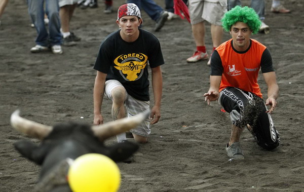 Men gesture towards a bull in an improvised bullring during the annual bullfight festival in Zapote, near San Jose, Dec 28, 2010. More than 350 bullfighters participated in the traditional end of year bullfight. [China Daily/Agencies]