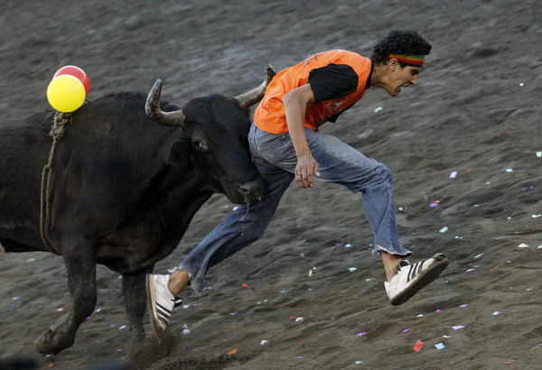 A man is hit by a bull in a improvised bullring during the annual bullfight festival in Zapote, near San Jose, Dec 28, 2010. [China Daily/Agencies]