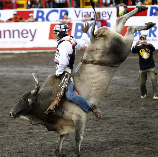 A man rides a bull in an improvised bullring during the annual bullfight festival in Zapote, near San Jose, Dec 28, 2010. [China Daily/Agencies]