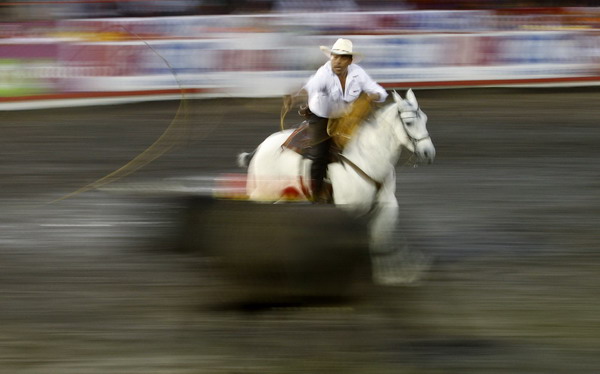 A man tries to catch a bull in an improvised bullring during the annual bullfight festival in Zapote, near San Jose, Dec 28, 2010. [China Daily/Agencies] 