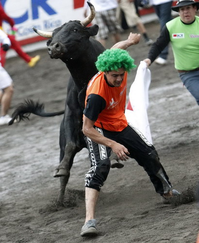 A man is tossed by a bull in an improvised bullring during the annual bullfight festival in Zapote, near San Jose, Dec 28, 2010. [China Daily/Agencies]