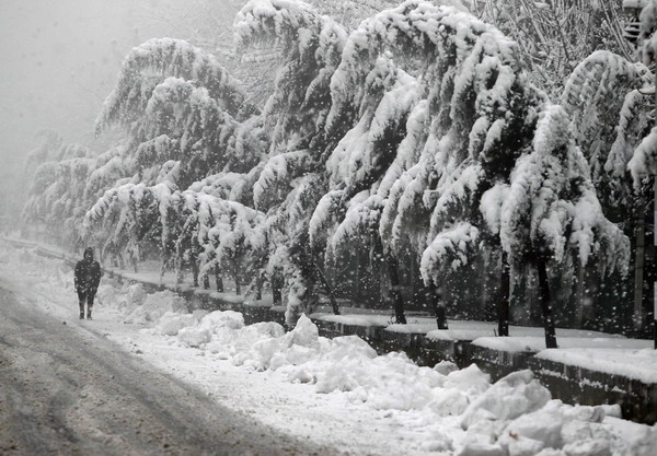 An Indian policeman walks under snow-covered trees during season&apos;s first snowfall in Srinagar Dec 30, 2010. [China Daily/Agencies]