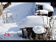 Functioning as an eco-tourism scenic resort, Shuangfeng Snow Town lies within the boundary of Dahailin Forestry Bureau on the southern slope of Zhangguangcai Ridge in Heilongjiang Province. With the winter season lasting up to 7 months, every year the intense snow surges into the mountains, leaving an accumulation of snow up to 2 meters in depth; thus the area is known to be an area to host the greatest snowfall in the country. [Photo by Yu Wenbin] 