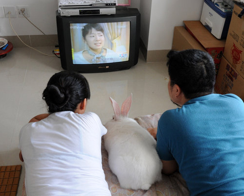 A couple watches TV with their rabbit between them, Xiamen, east China's Fujian Province, July 28, 2009. [Photo/CFP]