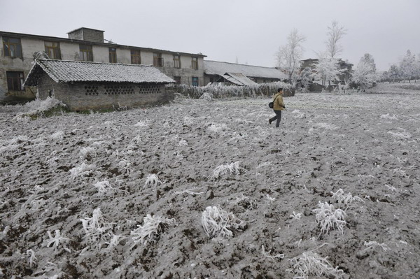 A man walks on ice-covered farmland in Kaiyang county, Southwest China&apos;s Guizhou province, Jan 4, 2011. The province has been battling freezing weather since Dec 31, which is affecting more than 160 million residents and causing a direct economic loss of more than 70 million yuan ($10.62 million). Icy roads are causing traffic gridlocks. Provincial weather authorities have launched an emergency response plan for disaster relief work. [Xinhua] 