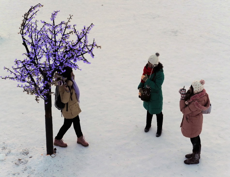 The 27th Harbin International Ice and Snow Festival opened on January 5, 2011 in Harbin, northeast China&apos;s Heilongjiang province, and will last for over one month. [Xinhua]