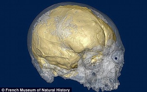 A 3D image replica of a 28,000-year-old skull found in France shows it was 20 per cent larger than ours.