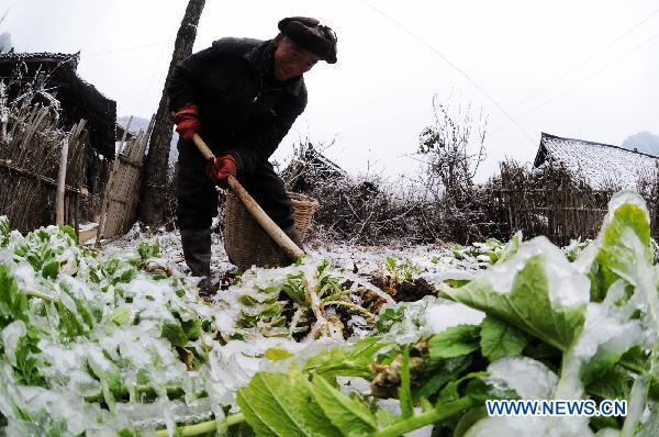 A man works in the ice-covered farm land in Xinhuang, central China&apos;s Hunan Province, Jan. 6, 2011. 