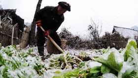 Parts of southern China battling freezing rain