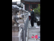 As one of the four biggest Buddhist temples in Hubei Province, the Guiyuan Temple is very famous in Wuhan. It was originally built by a monk named Bai Guang in 1658.It covers an area of 46,900 square meters. There are more than 200 halls in the temple. Most of the buildings, Buddhist sutras, Buddhist Sculptures are in a good state of preservation now.  [Photo by Wang Di]