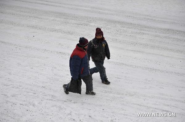 Ningxia witnesses first snowfall