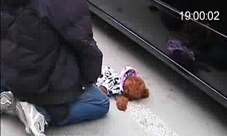 A video grab shows the drivers kneeling with a dead poodle in Suzhou on Jan 9, 2011. [Photo/scol.com] 