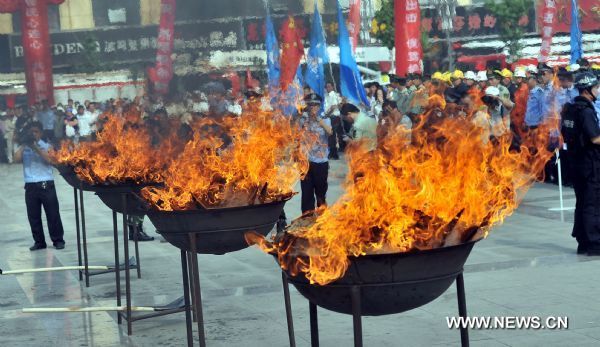 Drugs destroyed in Ningxia on Int'l Day Against Drug Abuse