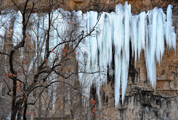 Photo taken on Jan 11, 2011 shows grand ice fall on mountain cliffs in Pingshan county, North China&apos;s Hebei province. [Xinhua]