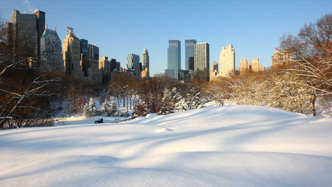 A view of the Central Park is pictured after an overnight snowfall in New York, the United States, Jan. 12, 2011.[Xinhua]