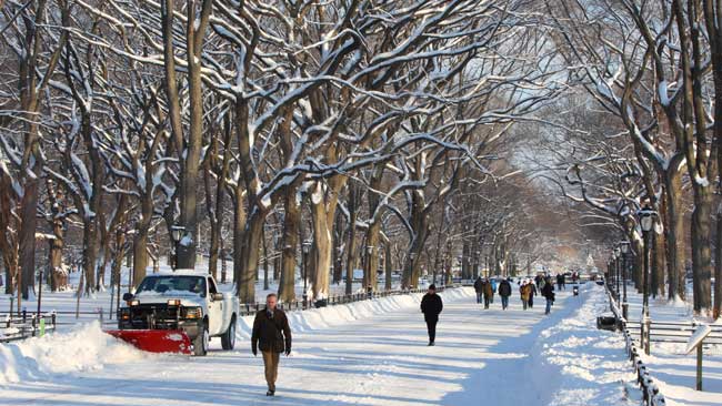 People walk in Central Park after an overnight snowfall in New York, the United States, Jan. 12, 2011. [Xinhua]