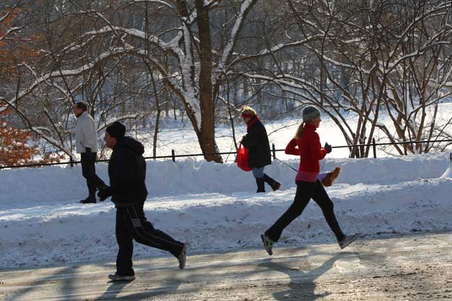 People walk in Central Park after an overnight snowfall in New York, the United States, Jan. 12, 2011. [Xinhua]