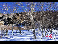 The Changbai Mountain is generally acknowledged as the most famous mountain range in Northeast China. It spans the border between China's Jilin Province and North Korea. It takes its Chinese name from the color of the winter snow and the white volcanic pumice scattered on its slopes. [Photo by Tian Gao]