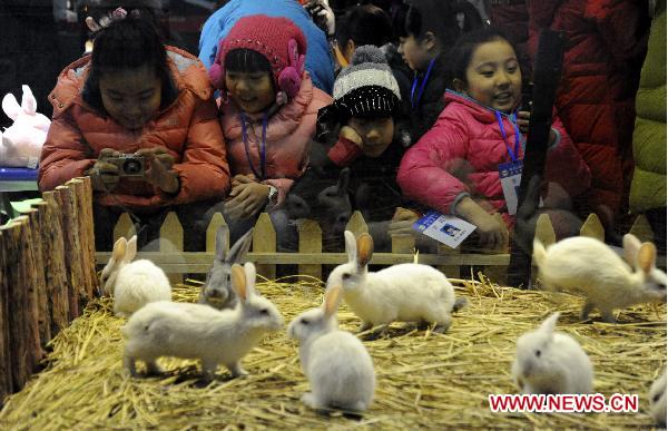 Pupils view rabbits at the provincial museum in Harbin, capital of northeast China&apos;s Heilongjiang Province, Jan. 13, 2011. A rabbit exhibition was held at the museum on Thursday to greet the traditional Chinese lunar year of Rabbit. [Xinhua]