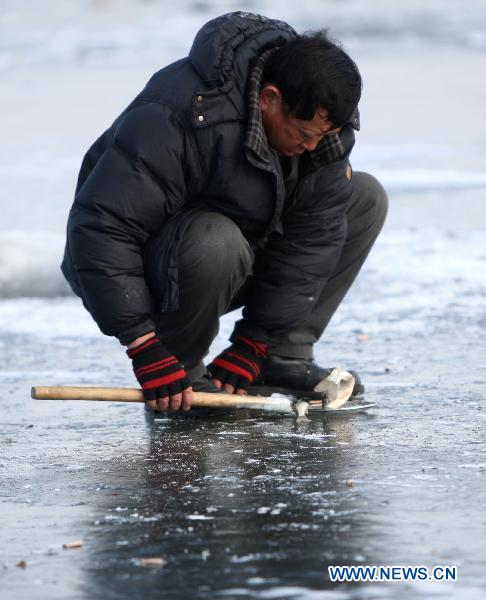 A contestant catches his trophies on the iced Waijia River during a fishing contest in Yantai, east China&apos;s Shandong Province, Jan. 12, 2011. More than 50 fishing fans attended the contest on Wednesday. [Xinhua]