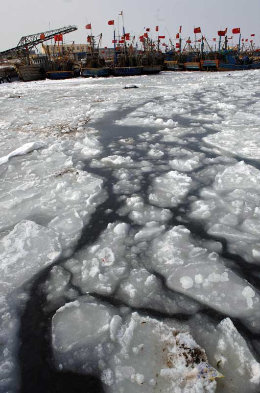 Photo taken on Jan. 14, 2011, shows part of ice affected fishing boats at Laizhou Bay in Laizhou, eastern China&apos;s Shandong Province. The area of iced sea has amounted to 3,000 square kilometers due to continuous cold waves while most offshore operations were forced to be halted. [Xinhua]