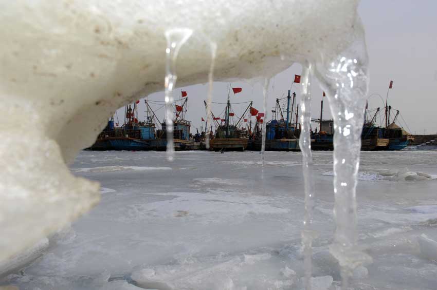 Photo taken on Jan. 14, 2011 shows part of ice affected Laizhou Bay in Laizhou, east China&apos;s Shandong Province. The area of iced sea has amounted to 3,000 square kilometers due to continuous cold waves while most offshore activities were forced to be halted. [Xinhua]