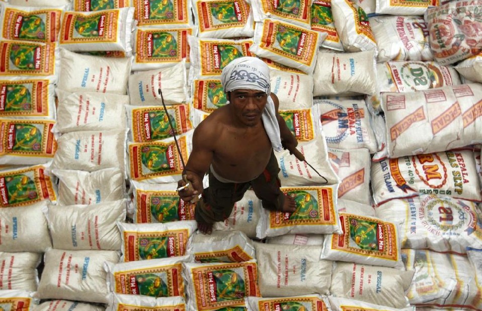 A worker stands on sacks of rice inside the hull of wooden boat before transporting it to Indonesia&apos;s Bangka island at a port in Jakarta January 14, 2011. [[China Daily/Agemcies]