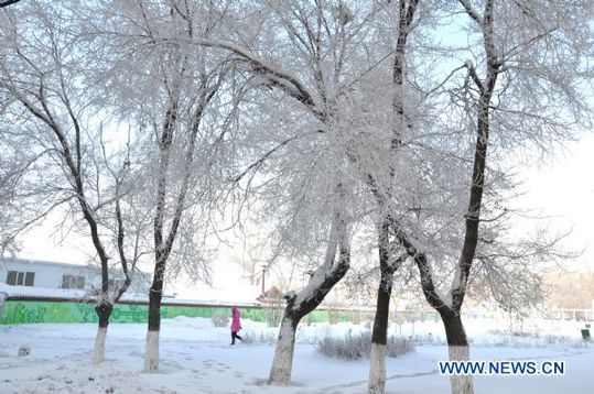 People walk in a street in Hulun Buir city of north China's Inner Mongolia Autonomous Region, Jan. 14, 2011. Under the effect of strong cold air, temperature in Hulun Buir dropped to minus 43 degree Celsius which caused frost fog and rime ice. [Xinhua] 