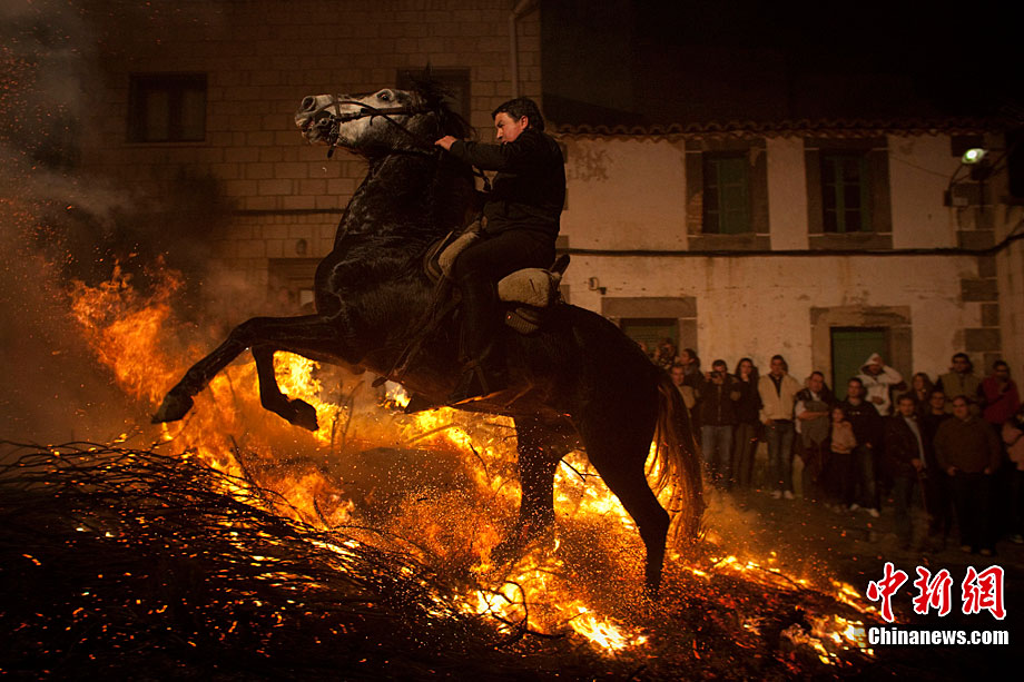 A man rides a horse through a bonfire on January 16, 2011 in the small village of San Bartolome de Pinares, Spain. In honor of San Anton, the patron saint of animals, horses are riden through the bonfires on the night before the official day of honoring animals in Spain. [Chinanews.com]