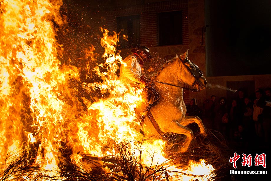 A man rides a horse through a bonfire on January 16, 2011 in the small village of San Bartolome de Pinares, Spain. In honor of San Anton, the patron saint of animals, horses are riden through the bonfires on the night before the official day of honoring animals in Spain. [Chinanews.com]