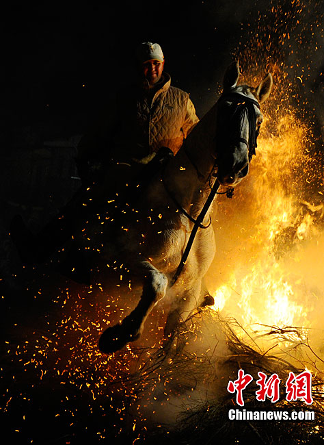 A man rides a horse through a bonfire on January 16, 2011 in the small village of San Bartolome de Pinares, Spain. In honor of San Anton, the patron saint of animals, horses are riden through the bonfires on the night before the official day of honoring animals in Spain. [Chinanews.com]