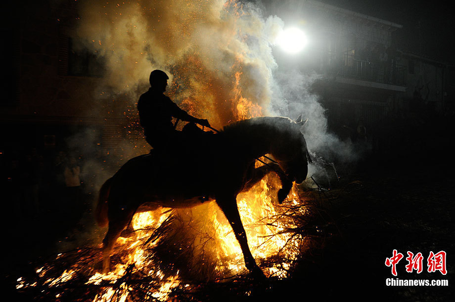 A man rides a horse through a bonfire on January 16, 2011 in the small village of San Bartolome de Pinares, Spain. In honor of San Anton, the patron saint of animals, horses are riden through the bonfires on the night before the official day of honoring animals in Spain. [Chinanews.com]