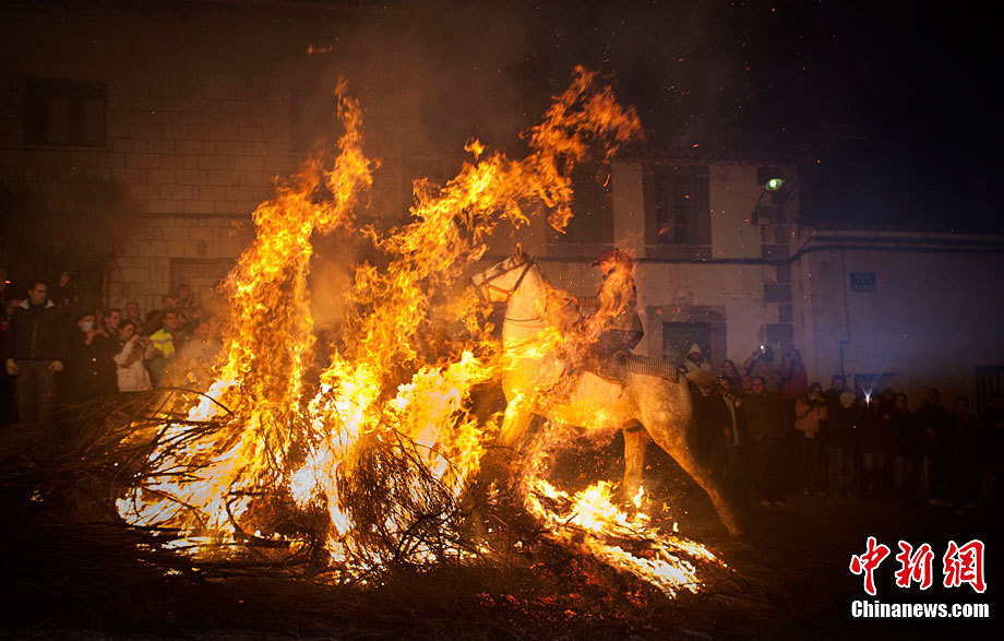 A man rides a horse through a bonfire on January 16, 2011 in the small village of San Bartolome de Pinares, Spain. In honor of San Anton, the patron saint of animals, horses are riden through the bonfires on the night before the official day of honoring animals in Spain. [Chinanews.com]