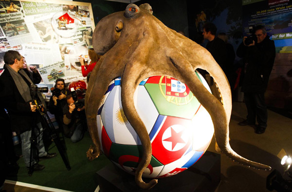 A monument of the octopus Paul is presented at the Sea Life aquarium in the western German city of Oberhausen, Jan 20, 2011. World Cup oracle Octopus Paul died in Oct 2010. Paul, the German octopus famous for correctly predicting each of Germany&apos;s 2010 World Cup matches, received his own permanent memorial three months after his death. Paul died aged 2-1/2 in Octorber. [Xinhua]