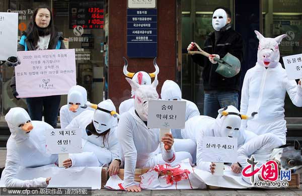 Animal lovers wearing masks resembling animals perform during a demonstration to mourn the death of animals killed and buried due to foot-and-mouth disease and bird flu, in Seoul Jan 19, 2011. [Photo/CFP] 