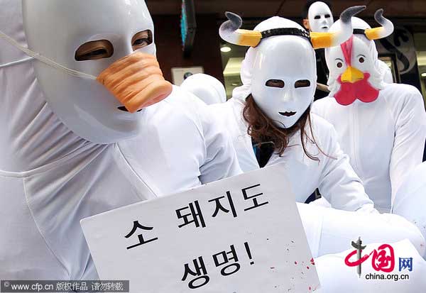Animal lovers wearing masks resembling animals perform during a demonstration to mourn the death of animals killed and buried due to foot-and-mouth disease and bird flu, in Seoul Jan 19, 2011. [Photo/CFP] 