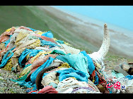 Yamdrok Lake, along with Nam Co and Mapam Yum Co, is one of Tibet's three holy lakes. It's the largest freshwater lake at the Himalayas' foot. The 638-sq-km body of water is situated about 4,441 meters above sea level and is believed to be the woman guardian of Buddhism in Tibet. [Photo by Chen Zhu]