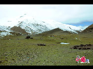 Located in the junction of Nanggarze County, Shannan Prefecture southeastern Tibet and Gyangze County, Xigaze Prefecture, southwestern Tibet, Karola Glacier is the glacier closest to a highway in Tibet.  Lying in the northern section of the Himalayas, the Karola Glacier, with an area of 9.4 sq km, is only 300 m from a a road. [Photo by Chen Zhu]