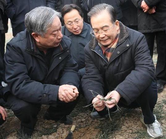 Chinese Premier Wen Jiabao (R Front) inspects the drought conditions at a field in Hebi City of central China's Henan Province, Jan. 22, 2011. [Xinhua] 