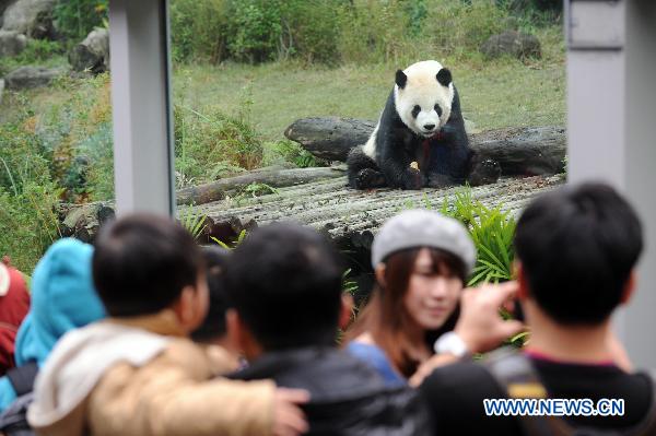 Visitors look at giant panda Tuan Tuan at the Taipei Zoo, southeast China&apos;s Taiwan, Jan. 23, 2011. A celebration was held in Taipei Zoo Sunday to mark the second anniversary of receiving two giant pandas Tuan Tuan and Yuan Yuan from the Chinese mainland. The Chinese mainland sent Tuan Tuan and Yuan Yuan (together meaning &apos;reunion&apos;), as a gift to Taiwan in December 2008. 