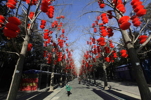 A girl walks along trees with decorative red lanterns ahead of the Chinese Lunar New Year celebrations at Ditan Park in Beijing Jan 24, 2011. [China Daily/Agenices]