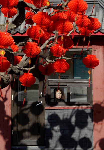 A woman looks out of a window next to a tree with decorative red lanterns ahead of the Chinese Lunar New Year celebrations in Beijing Jan 24, 2011. [China Daily/Agenices] 
