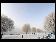 Photo taken on Jan. 22, 2011 shows the rime scenery along the Songhuajiang river in Jilin City, northeast China's Jilin Province.