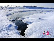 Located north of Heilongjiang Province and the Inner Mongolia Autonomous Region, Greater Khingan Mountains is an oxygen-providing paradise covering a large forest area - a total of 84.6-thousand square kilometers, equal to the territory of Austria or 137 Singapores.  [Photo by Tian Gao]