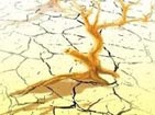 Beijing hit by drought, no rain for 93 consecutive days
