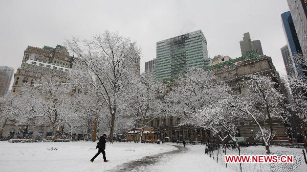 A pedestrian walks in the snow at the Battery Park in New York, the United States, Jan. 26, 2011.