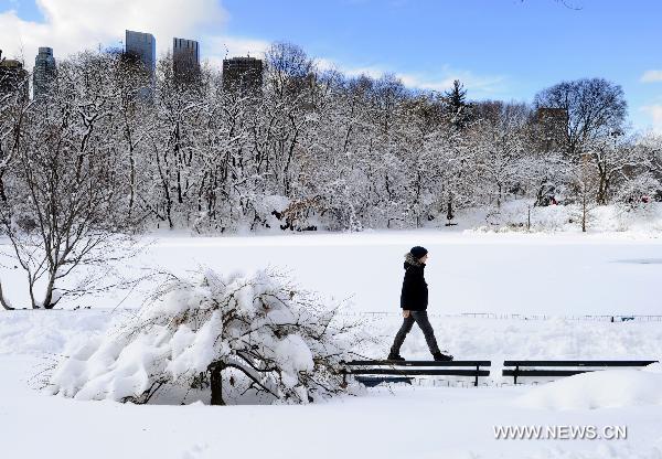 A man walks in the snow-covered Central Park in New York, the United States, Jan. 27, 2011. New York Mayor Michael Bloomberg announced on Thursday that the city had experienced the snowiest January in history after a thick blanket of snow covered the city. 